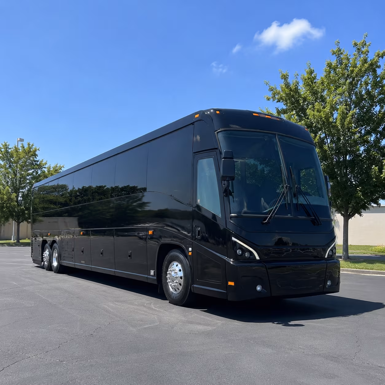 hamden wedding transportation